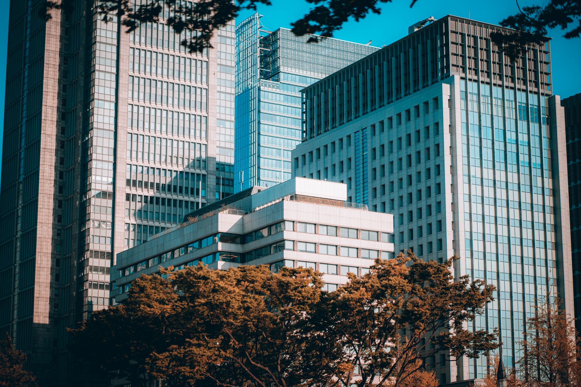 Japan Moves Closer to Crypto ETFs With Historic Tax Reform Bill
