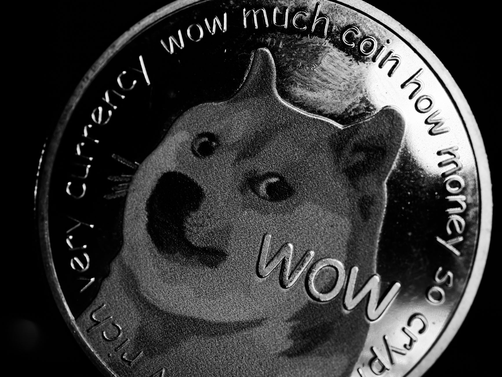 Massive 64B SHIB Token Shuffle Sparks Price Action Speculation